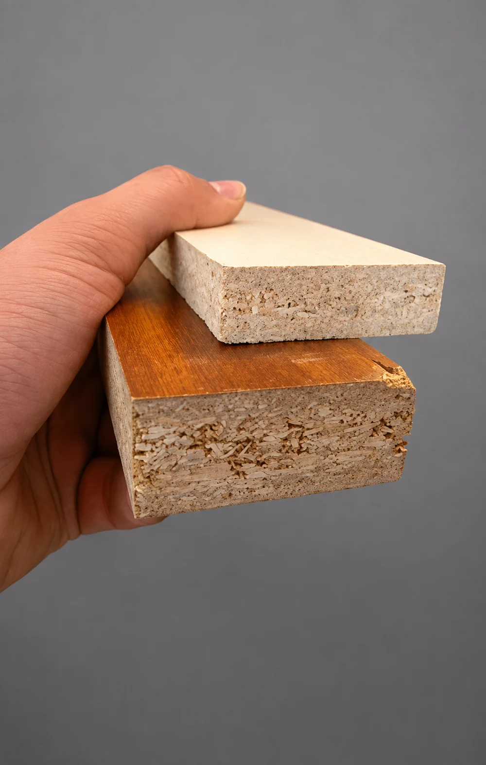 Particle Board - Image 2